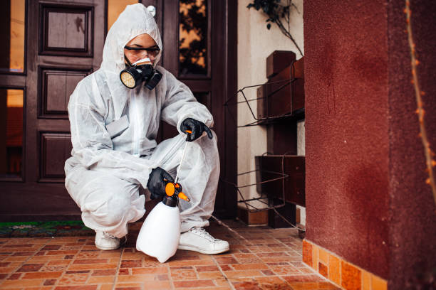 Reliable Cockroach Control contractor in Chelsea, OK by Nex Pest Control